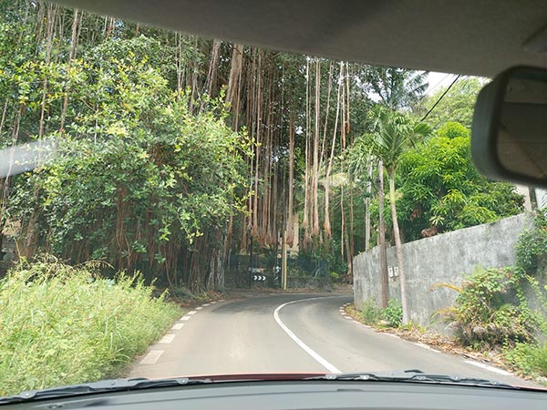 Enge Straßen im Innland von Mauritius